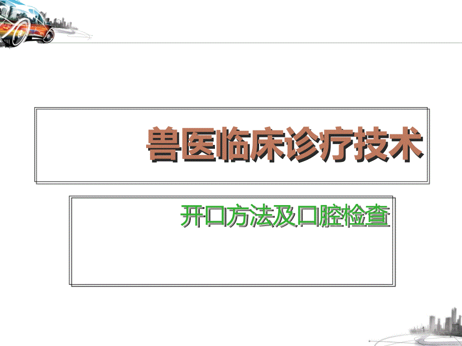 兽医临床诊疗技术开口方法及口腔检查课件_第1页