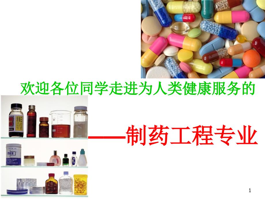 制药工程专业导论01.概述课件_第1页