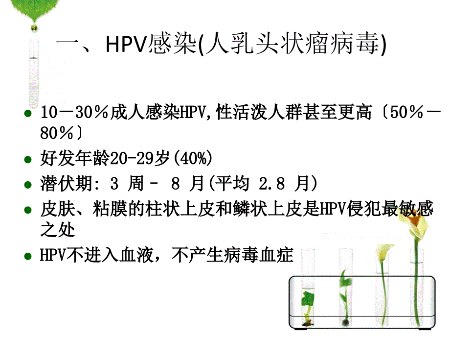 hpv感染与宫颈癌的宣传资料课件_第1页