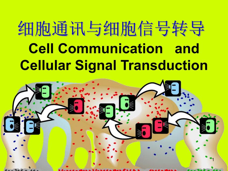 分子生物学9-细胞通信-课件_第1页