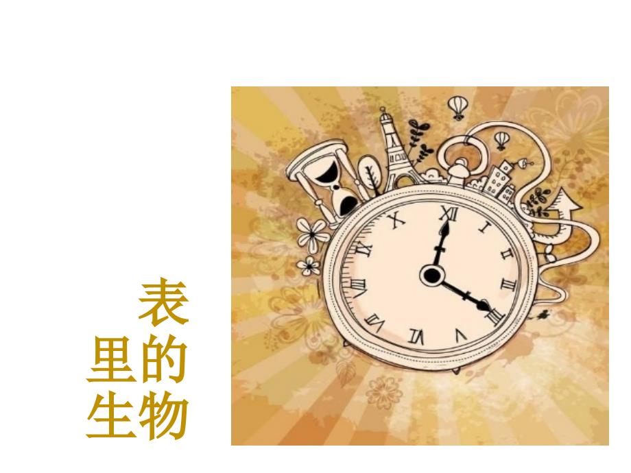 2021年新人教部编本六年级下册语文16--表里的生物-ppt课件_第1页