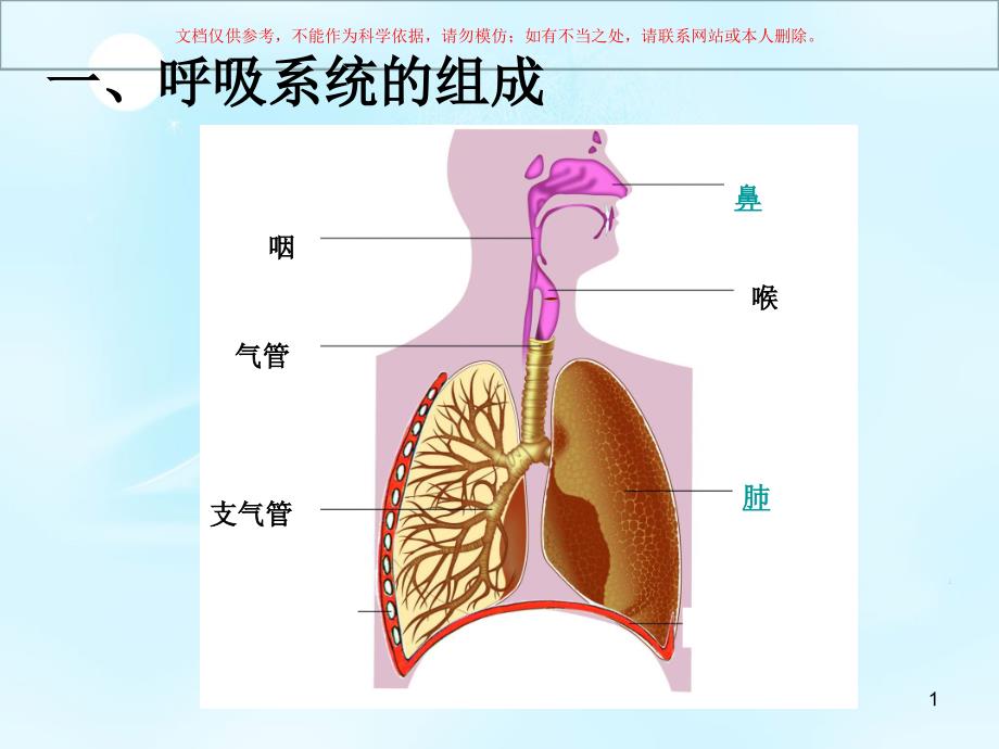 人体的呼吸运动ppt课件_第1页