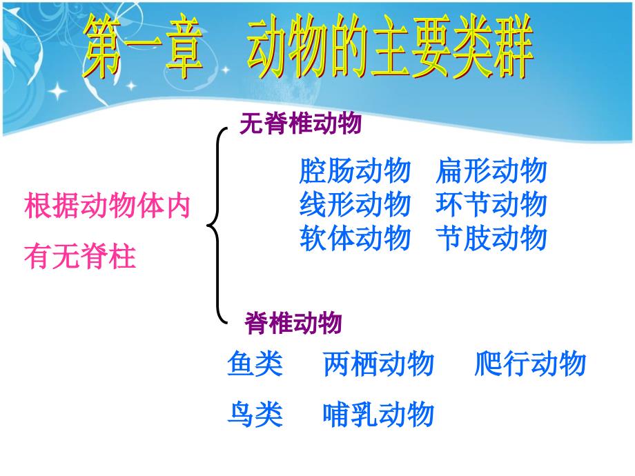 初二上册生物期中复习课件_第1页