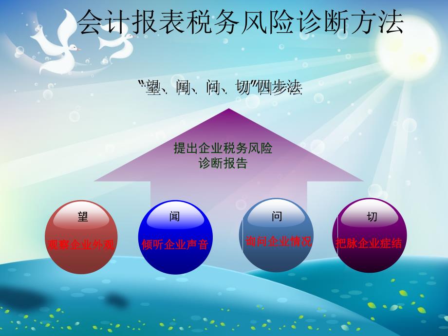 会计报表税务风险检查诊断课件_第1页