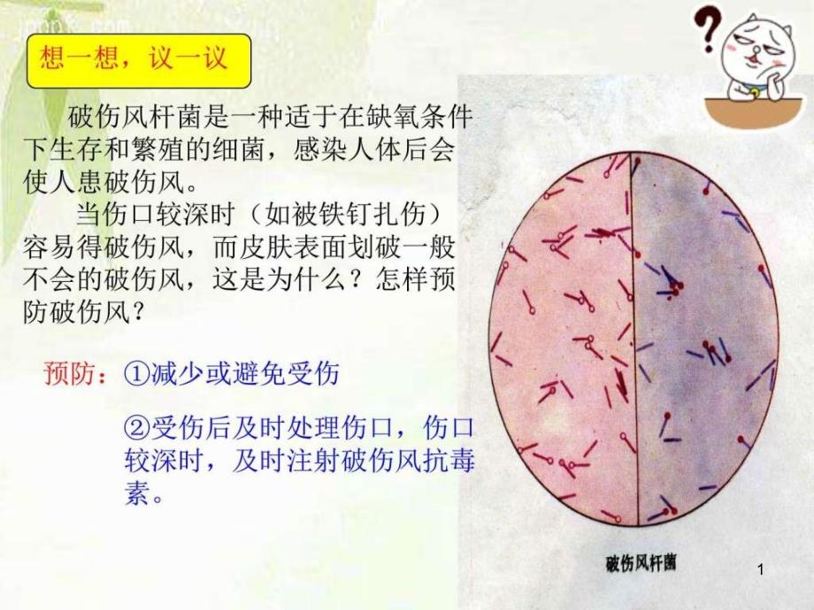 人教版八年级生物上册第四章第二节细菌语文初中教育教育专区课件_第1页