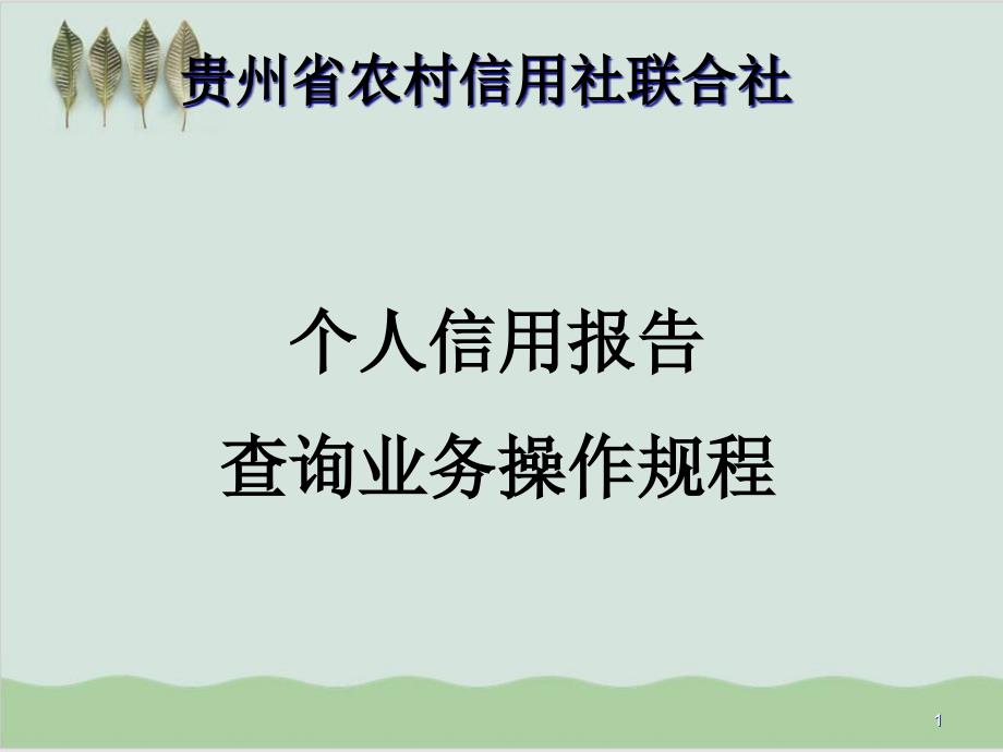 个人信用报告查询业务操作规程指导课件_第1页