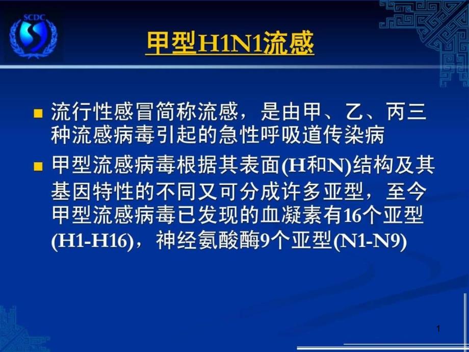 hn流感pt演示文稿模板课件_第1页