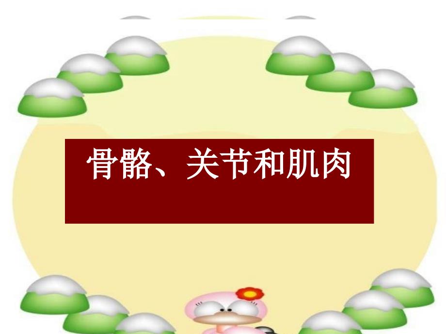 骨骼關(guān)節(jié)和肌肉課件_第1頁(yè)