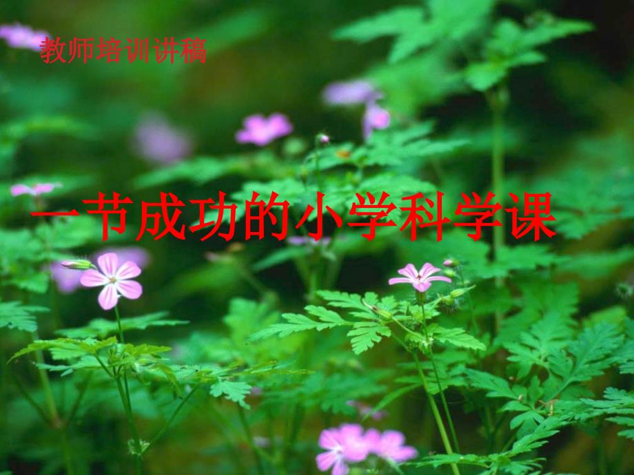 《一节成功的小学科学课》教师培训讲座提纲课件_第1页