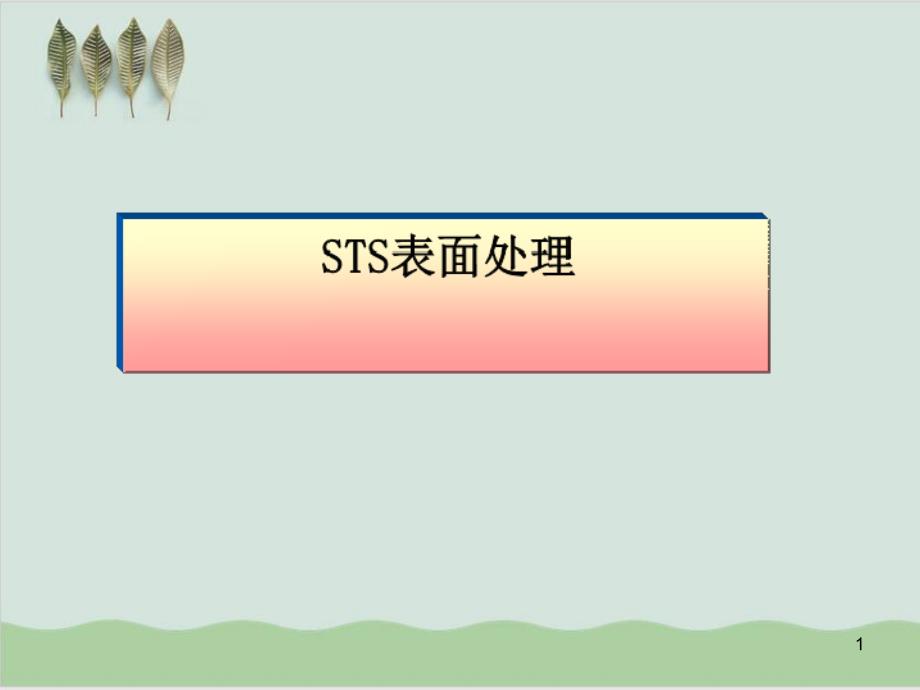 不锈钢的表面质量及处理课件_第1页