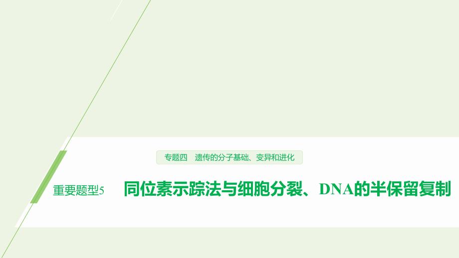 2020年高考生物二轮复习专题四重要题型5同位素示踪法与细胞分裂、DNA的半保留复制ppt课件_第1页