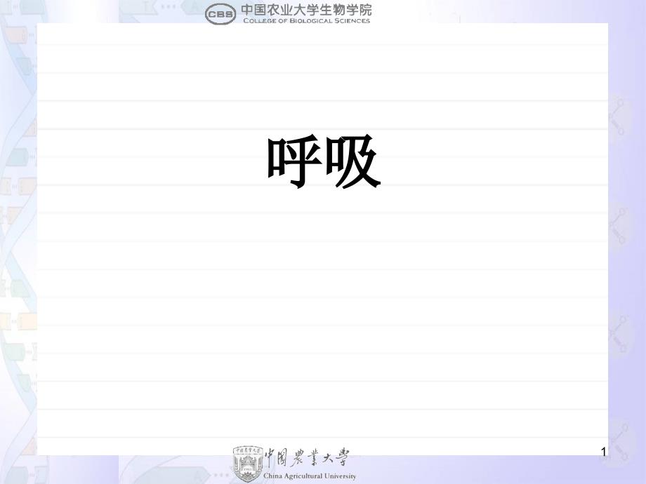 动物生物学-动物生理：6-呼吸课件_第1页