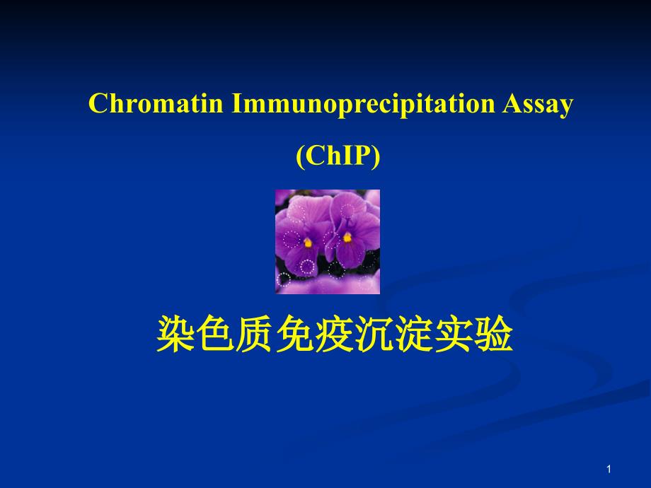 染色质免疫共沉淀实验方法简介教程课件_第1页