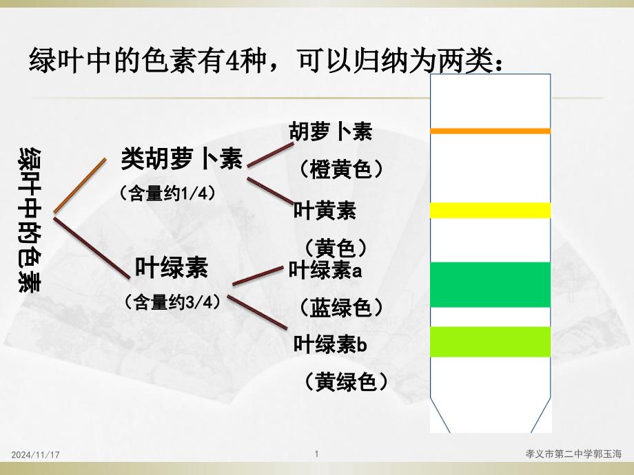 光合作用的探究历程与过程课件_第1页