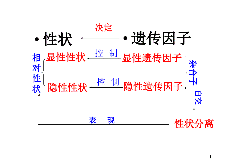 孟德尔豌豆杂交实验一第二课时课件_第1页