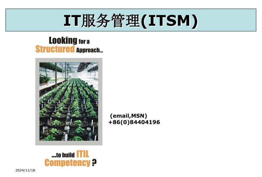 IT服务管理(ITSM)_第1页