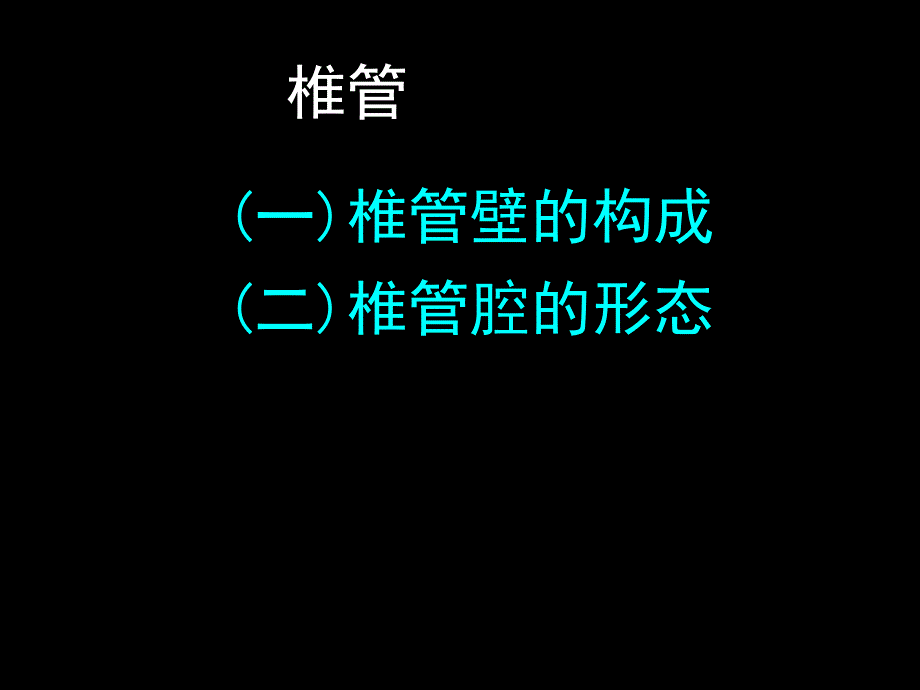 医学ppt课件椎管解剖腰麻骶管麻醉基础_第1页