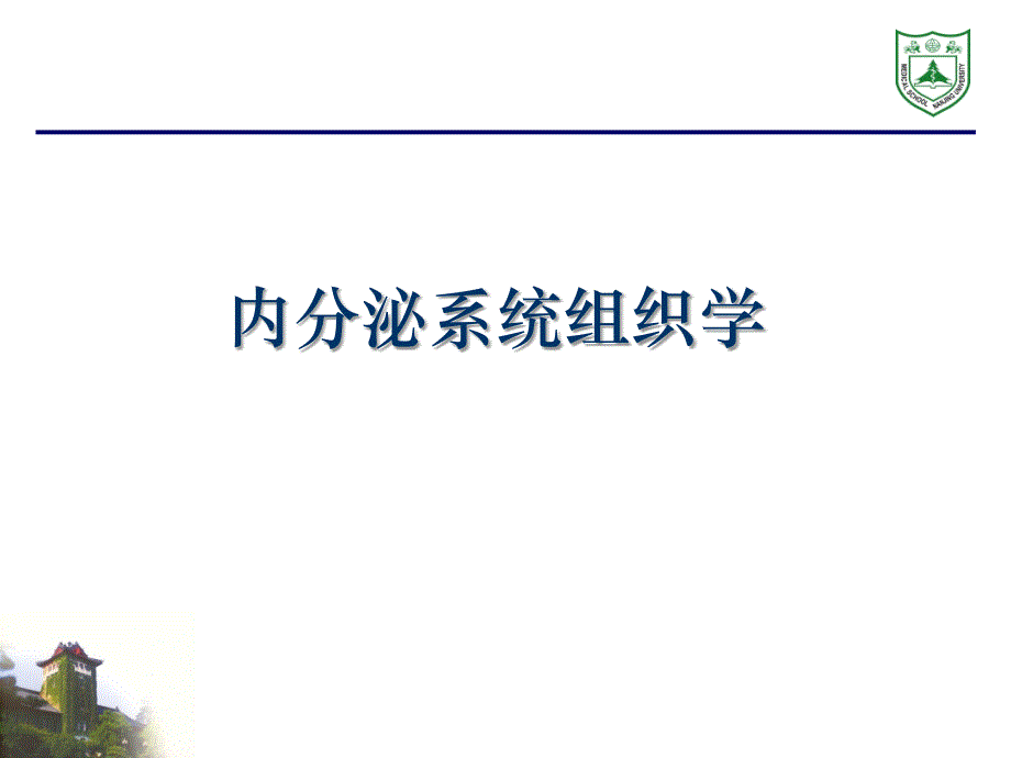 内分泌系统组织学课件_第1页