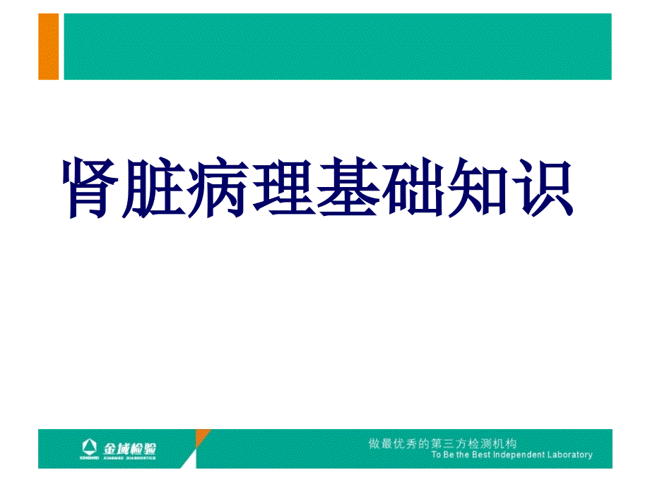 医学ppt课件肾活检病理检查及肾脏病理基础知识_第1页