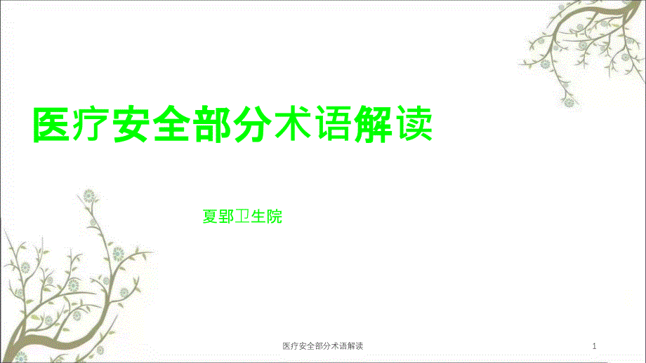 医疗安全部分术语解读ppt课件_第1页