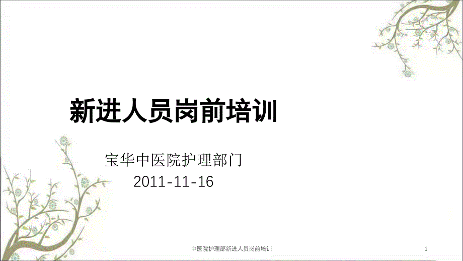 中医院护理部新进人员岗前培训ppt课件_第1页