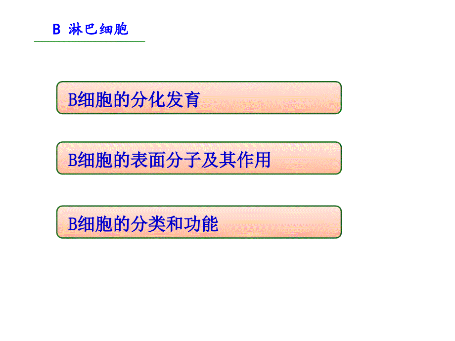 机体防御与免疫9b淋巴细胞课件_第1页