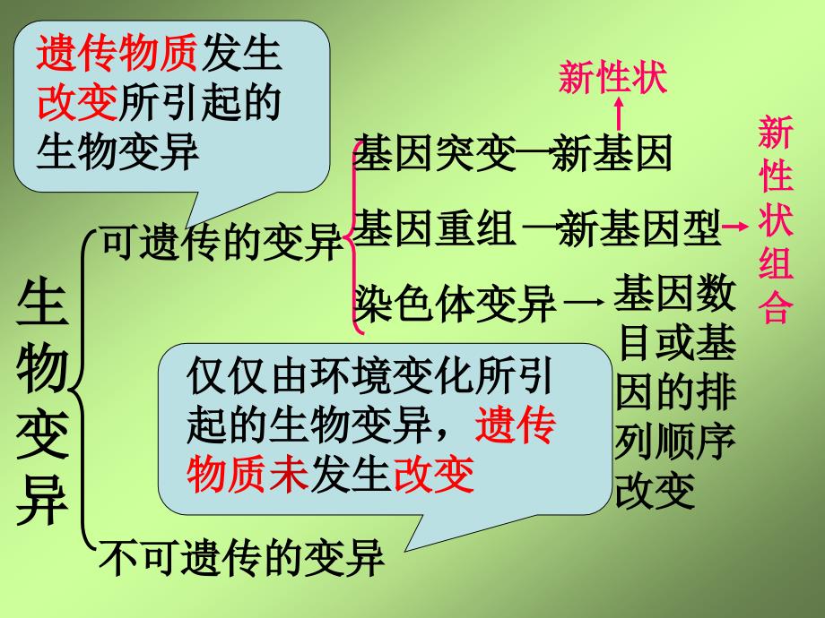 人教版教学单倍体育种多倍体育种_第1页