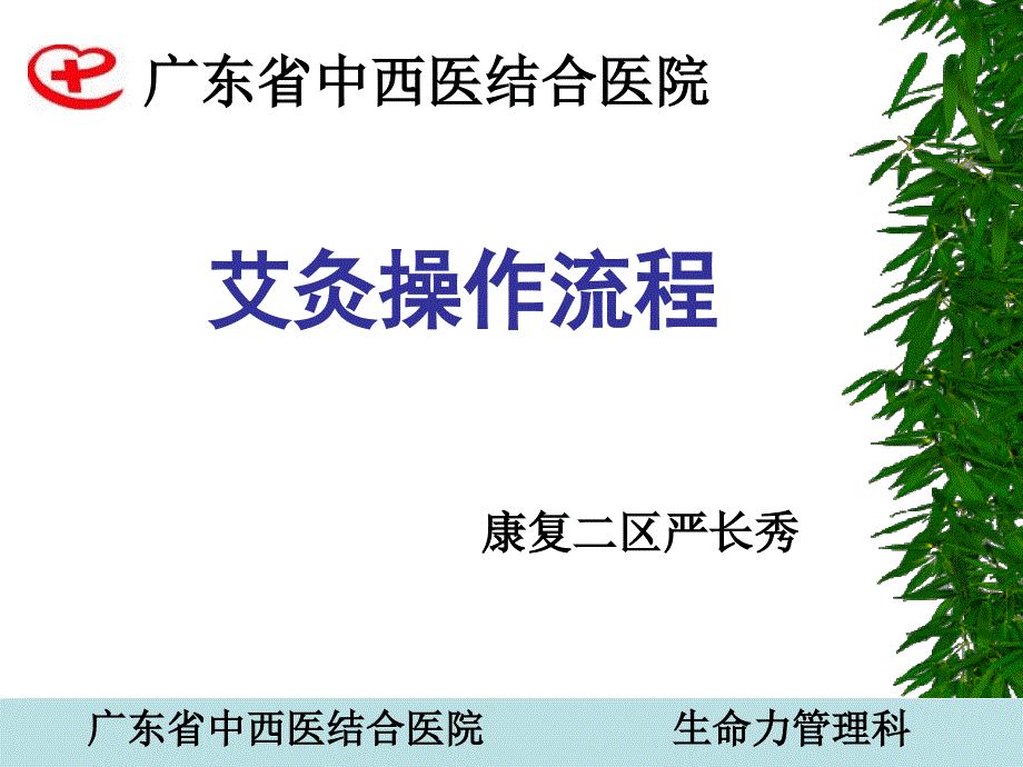 生命力针刺ppt课件_第1页