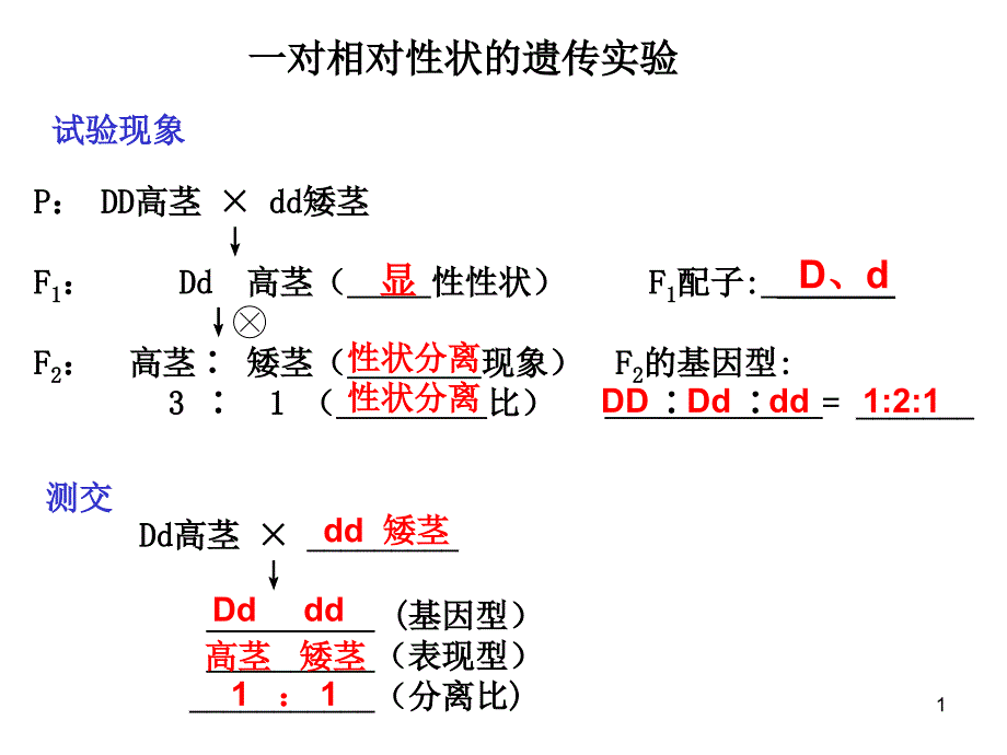 高中生物必修二会考知识点详细总结专题培训ppt课件_第1页