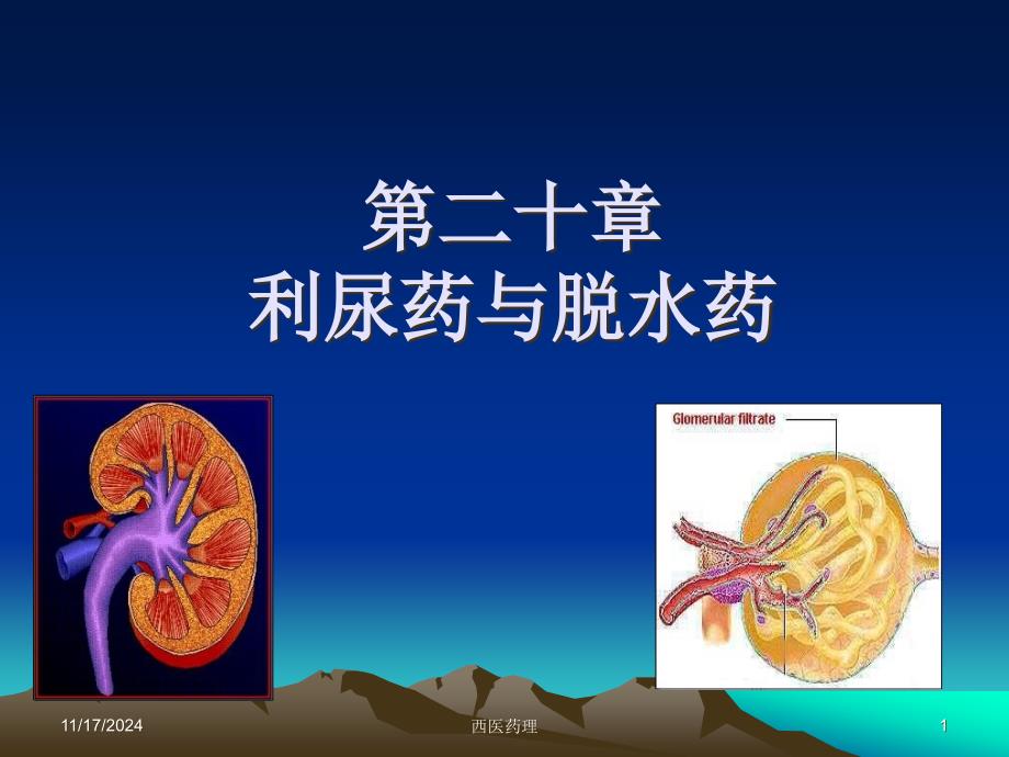 西医药理学第二十章利尿药和脱水药_第1页