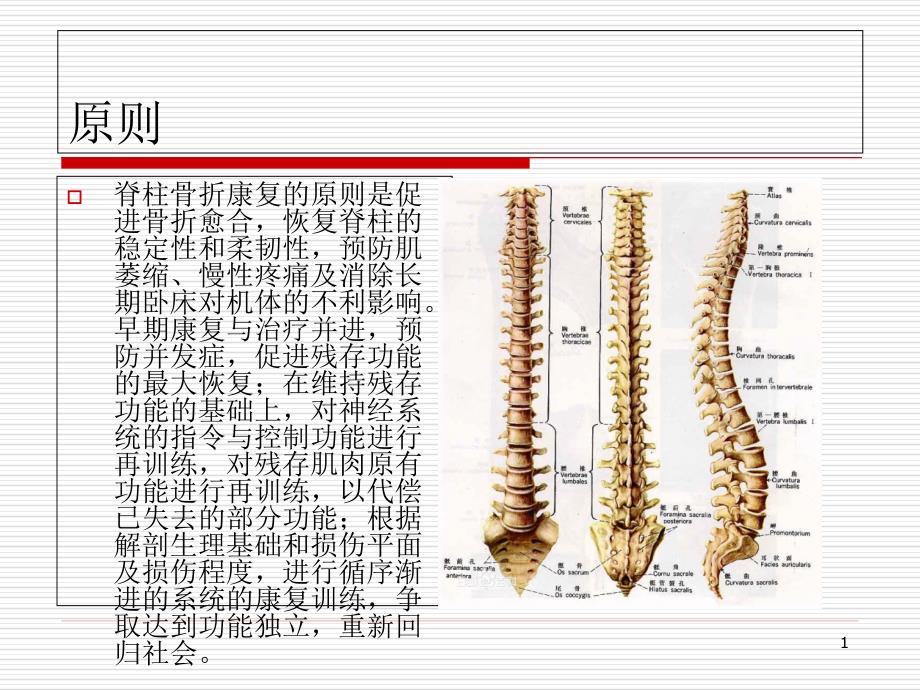 脊柱骨折康复课件_第1页