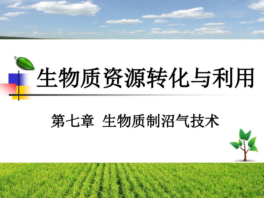 生物质资源转化与利用-第七章-生物质制沼气技术资料课件_第1页