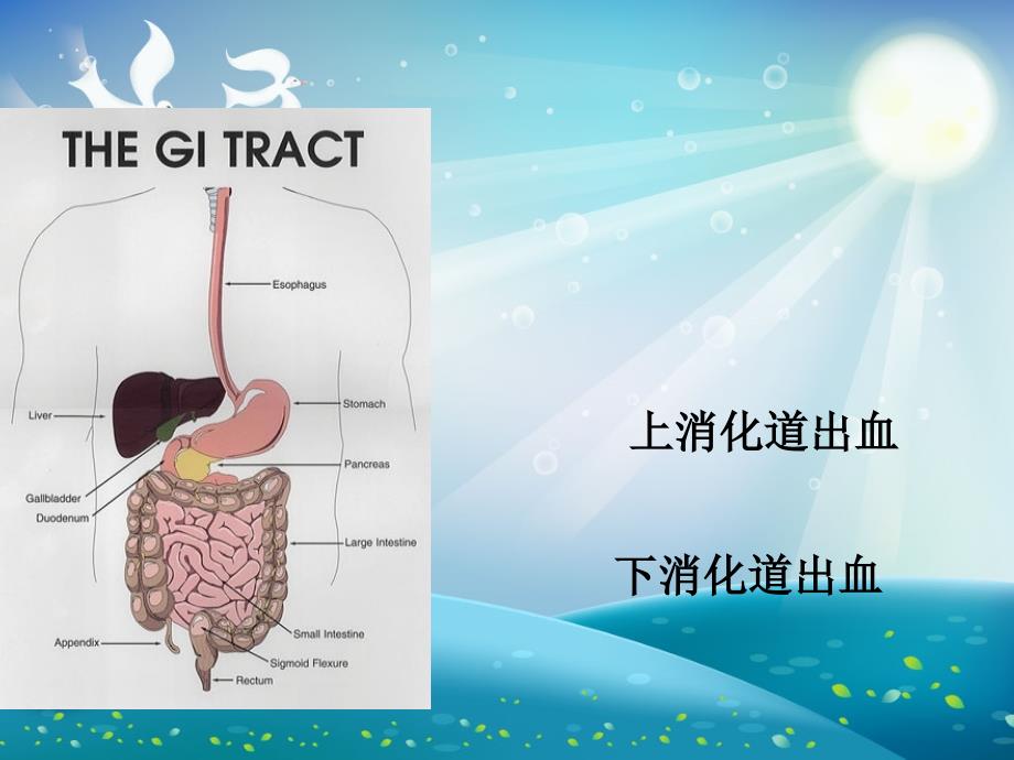 消化道出血的急救与护理ppt课件_第1页