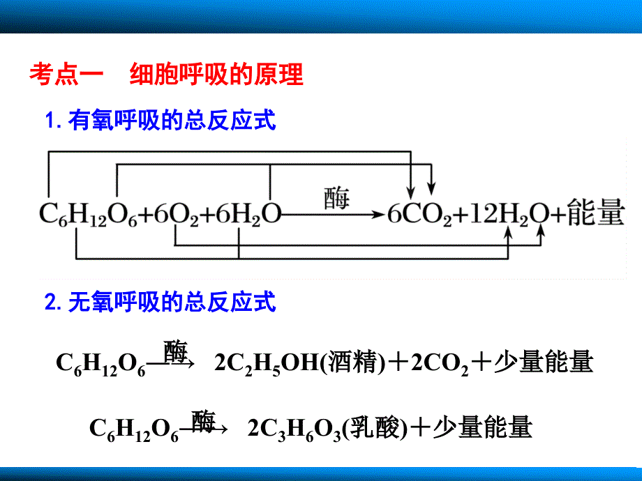 细胞呼吸总结课件_第1页