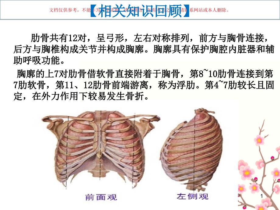 肋骨骨折教学查房ppt课件_第1页