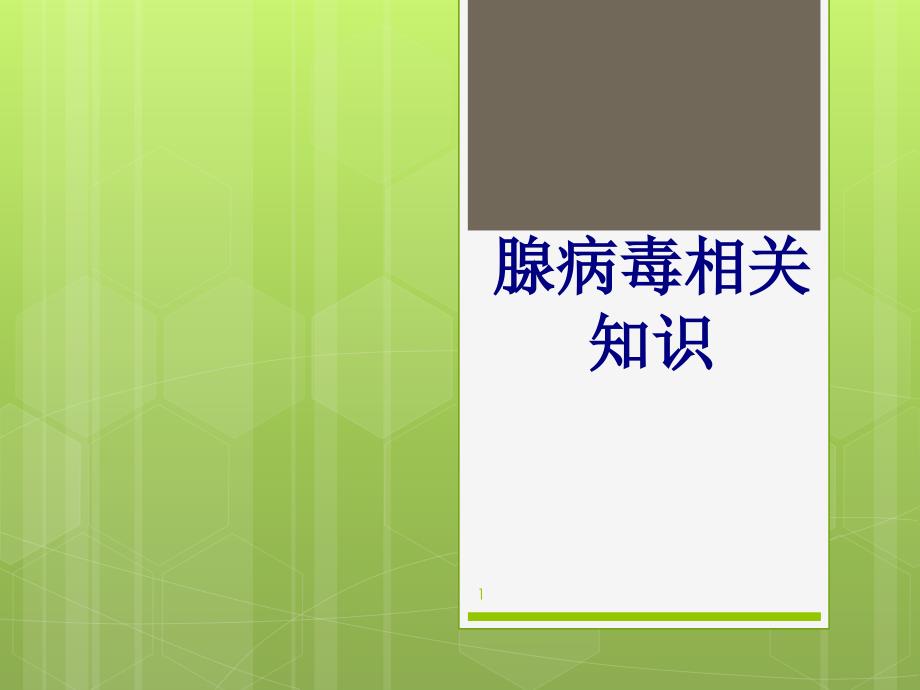 腺病毒相关知识培训ppt课件_第1页