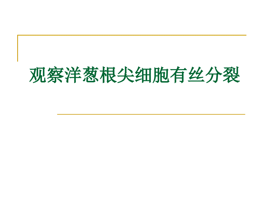 观察洋葱根尖细胞的有丝分裂_第1页