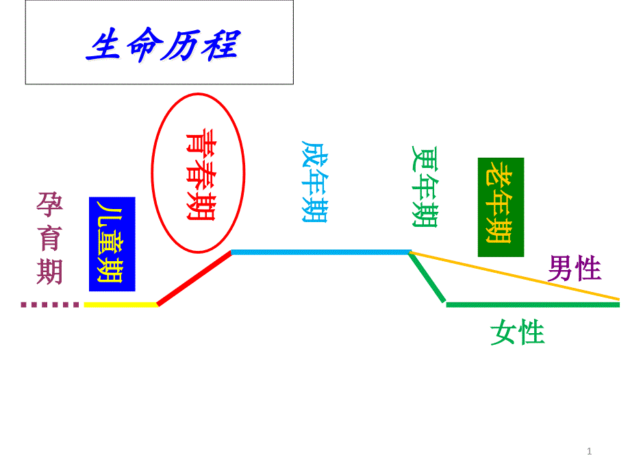 青春期卫生保健课件_第1页