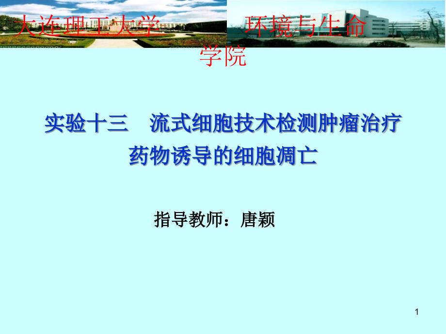 肿瘤治疗药物诱导细胞凋亡的研究概要课件_第1页