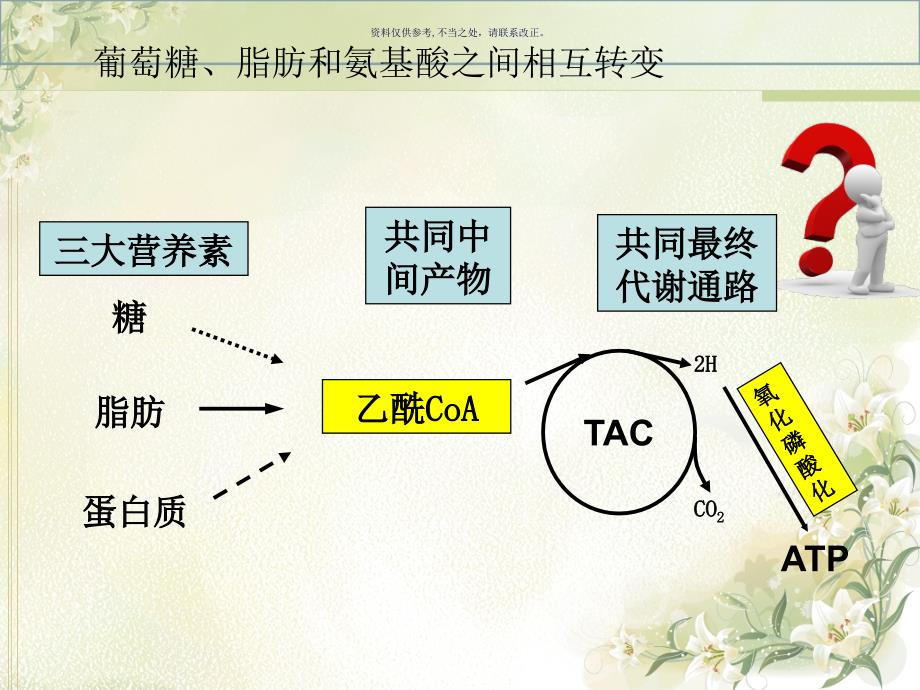 葡萄糖脂肪和氨基酸之间相互转变的途径和枢纽课件_第1页