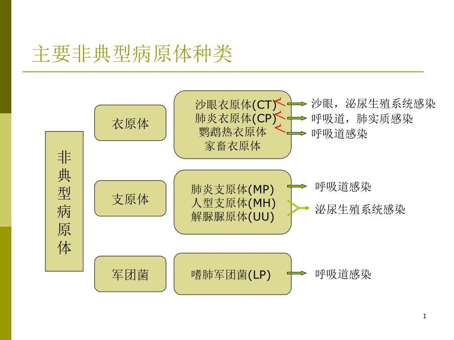 非典型病原体感染的诊断治疗课件_第1页