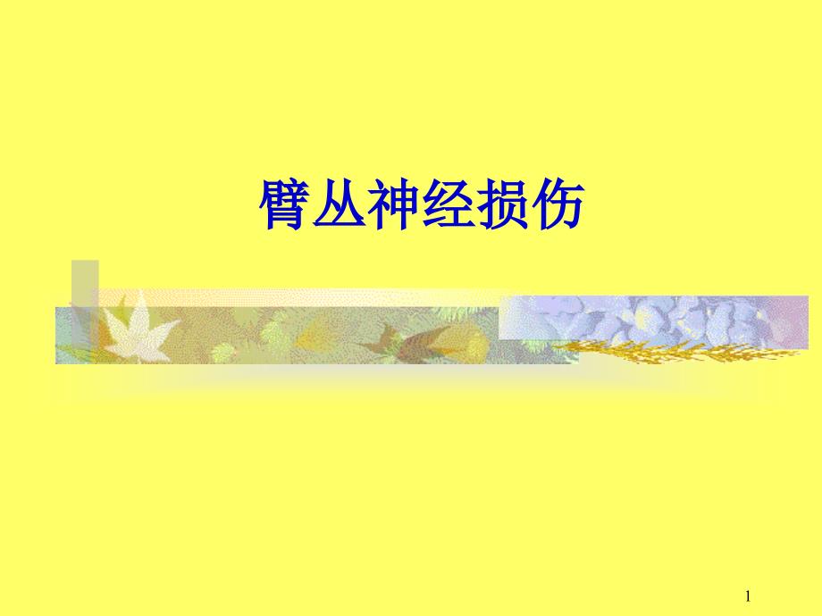 臂丛神经损伤课件_第1页