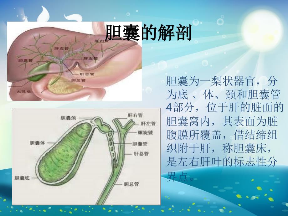 腹腔镜下胆囊切除胆总管切开取石术护理配合ppt课件_第1页