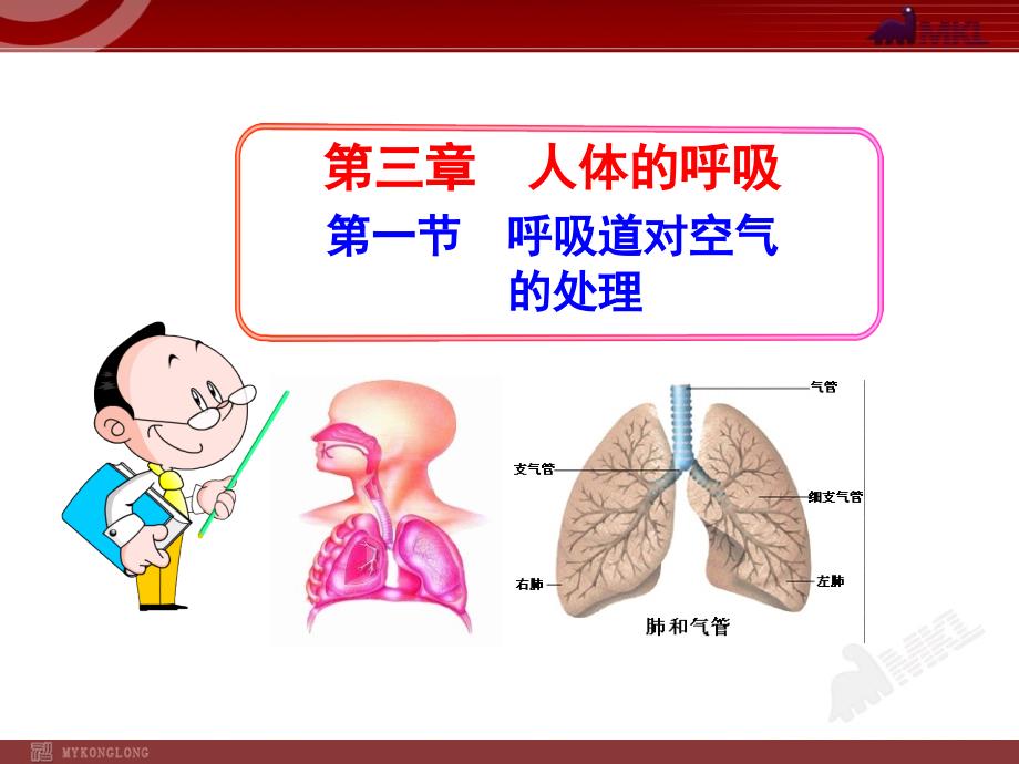 呼吸道对空气的处理七级下册课件_第1页