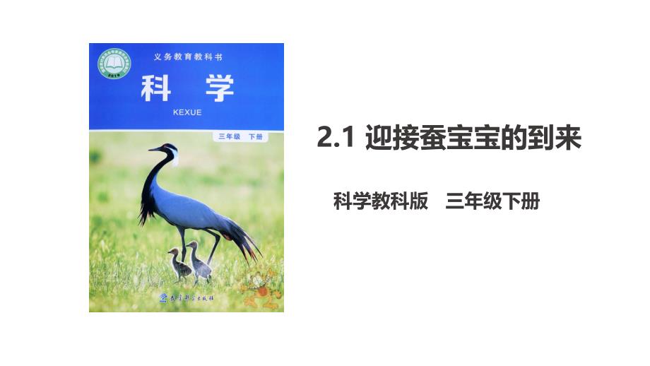 【2020教科版科学三年级下册】二单元2.1-迎接蚕宝宝的到来(ppt课件 )_第1页