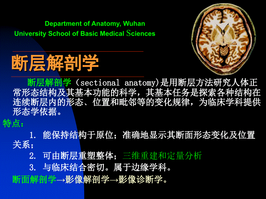 断层解剖学课件1断层头部_第1页