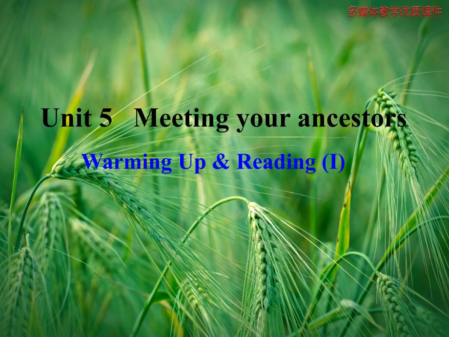 Unit-5-Meeting-your-ancestors-Warming-Up多媒体教学优质ppt -北师大版选修8课件_第1页