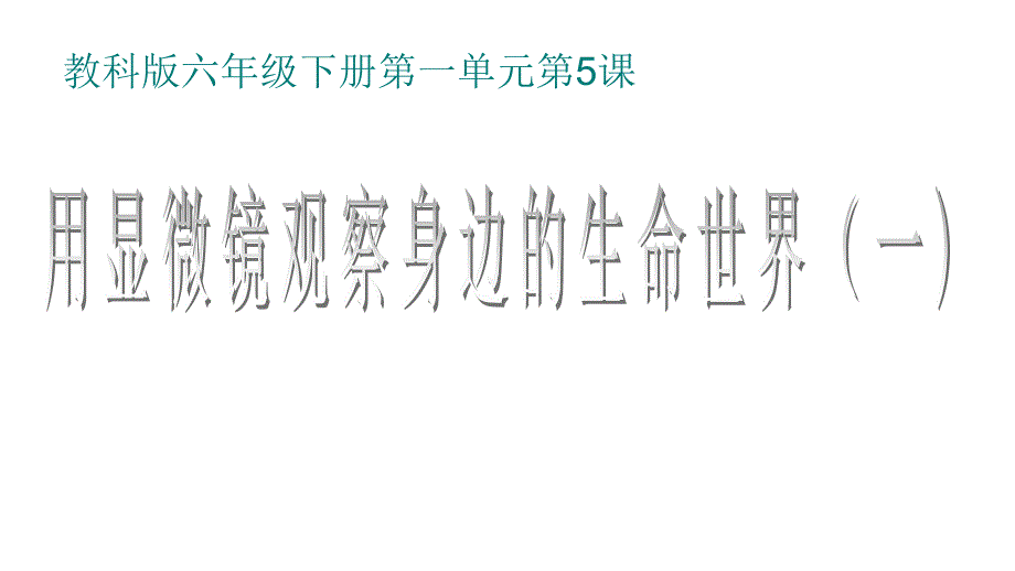 教科版《用显微镜观察身边的生命世界(一)》课件完美版3_第1页