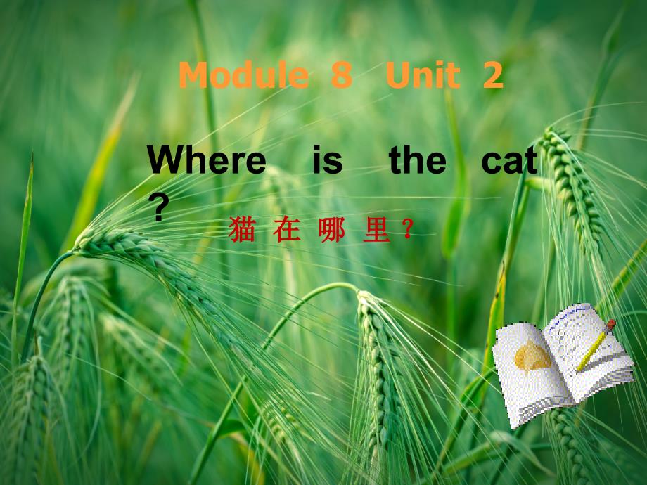 Module-8-Unit-2-Where’s-the-catppt 2-外研版(一起)课件_第1页