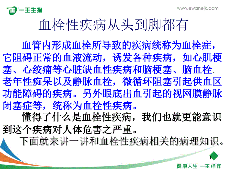 血栓概念与形成课件_第1页